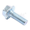 Delonghi PRO380 Screw