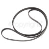 AEG Poly-Vee Drive Belt - 1975H7