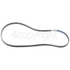 AEG 1370 Poly-Vee Drive Belt - 1200J5