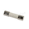 Electrolux EMS17206X Fuse 8A