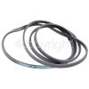 Maytag Poly-Vee Drive Belt - 1547J3