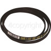 Ardem Poly-Vee Drive Belt - 1276J4PJE