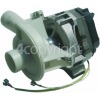 Electrolux Recirculation Pump