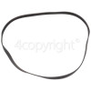 Hotpoint BWM 129 Poly-Vee Drive Belt - 1051H8MA