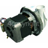 Diplomat Recirculation Wash Pump Motor