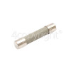 Sharp R953(SL)M 20A Ceramic Microwave Fuse