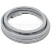 Samsung R1043GWXEH Door Seal