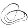 Gorenje D61110.03 Poly-Vee Drive Belt - 1906H8