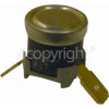 Rangemaster 6010 Thermostat