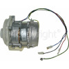 Hotpoint Cycle Pump