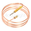 Baumatic BT2550SS Thermocouple