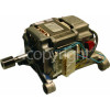 Baumatic BWD12.1 Motor