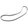 Ariston Poly-Vee Drive Belt 1288 J5