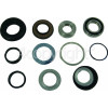 Indesit Drum Bearing & Seal Kit