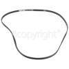 Howden Poly-Vee Drive Belt - 1227J5PJE