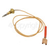 Baumatic BT66SS Thermocouple