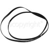 Hisense DHGE8013 Poly-Vee Drive Belt - 1956H7