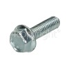 McCulloch Screw