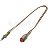 Ariston C09SG1(X)F Thermocouple - L. 250 96N