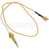 RMB70HPNGFGL Thermocouple With Tag End : 300mm / S310t