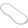 Proline VDEP65-E Door Gasket - Seal