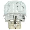 Delonghi DFS903.1STST Lamp Assembly