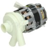 Gorenje GS62110BW Wash Motor - Pump : Welling YXW50-2F-2(L) 95W : Also Fits Etna/Krting/Pelgrim