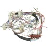 Delonghi Wiring Harness