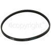 B&Q FL267 Drive Belt