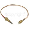 Baumatic BCG600SS Standard Thermocouple : Length 200mm