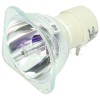 Samsung BP96-02016A Projector Lamp