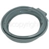 Door Gasket