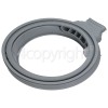 Hotpoint Door Seal