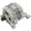Zanker 3 Phase Induction Motor