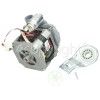 Amica Wash Pump Motor : TONLON (1757050600)