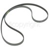 Bosch WAE24060GB/03 Poly-Vee Drive Belt - 1255J5PJE (1255J5)