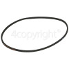 McCulloch R15SV Drive Belt