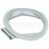 Indesit MISSIWD0WI Door Seal