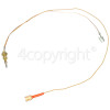 Siemens HM19550EU/03 Thermocouple L=600mm Cable Shoe Single Wire