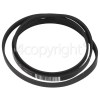 Ignis Poly-Vee Drive Belt - 1236J4PJE / 1236J4