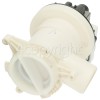 Westpoint Drian Pump Assy