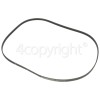 Brandt C2100 Poly-Vee Drive Belt - 1317J5