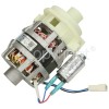 PDW081S Wash Pump Motor 95W