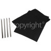 Brandt Carbon Filter Kit : 310x220mm