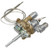 New World Thermostat Main