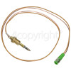 Leisure Hotplate Thermocouple Probe : 535mm