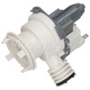 Hoover DDY 062-86 Drain Pump Assemble (with Flat Top) : Askoll M111 Art. 292032 Or Plaset 63533