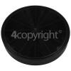 Britannia Carbon Filter