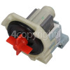 Rangemaster RDW6012FI Drain Pump (flat Top Twist On ) ; Plaset M3689 HR Code 120400513 15/30W 220/240V