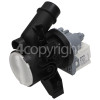 Candy CS44 1382D3/2-S Drain Pump Assembly : Askoll M323.1 Art No RR0716 32w Or Hanyu B25-6AZC